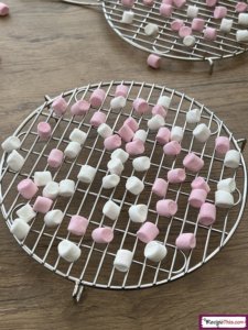 Can You Dehydrate Marshmallows?