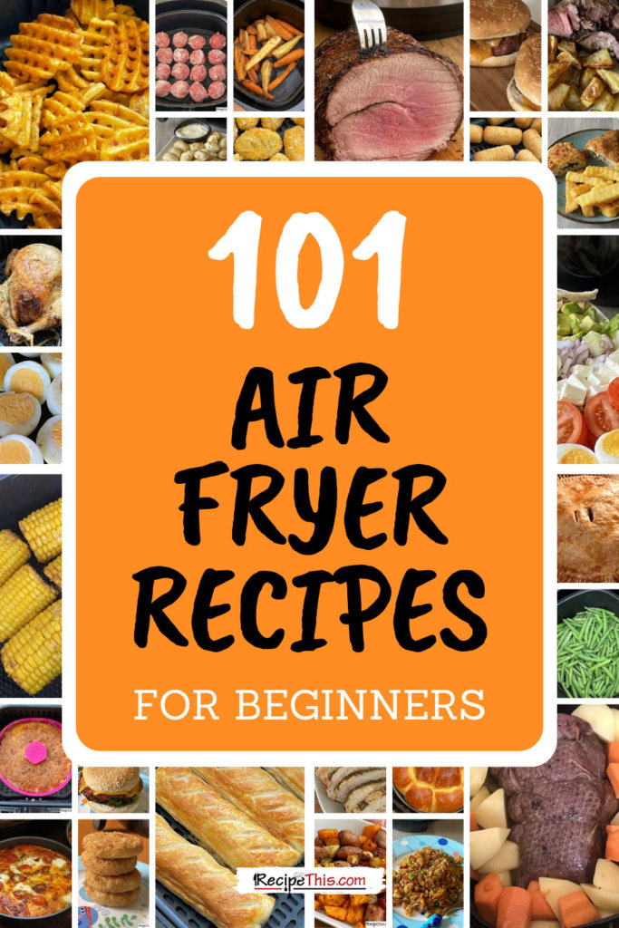 101 air fryer recipes ebook