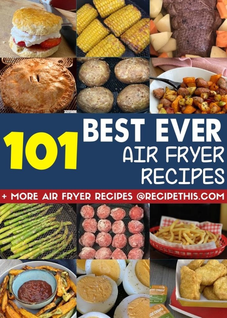 101 best ever air fryer recipes plus more air fryer