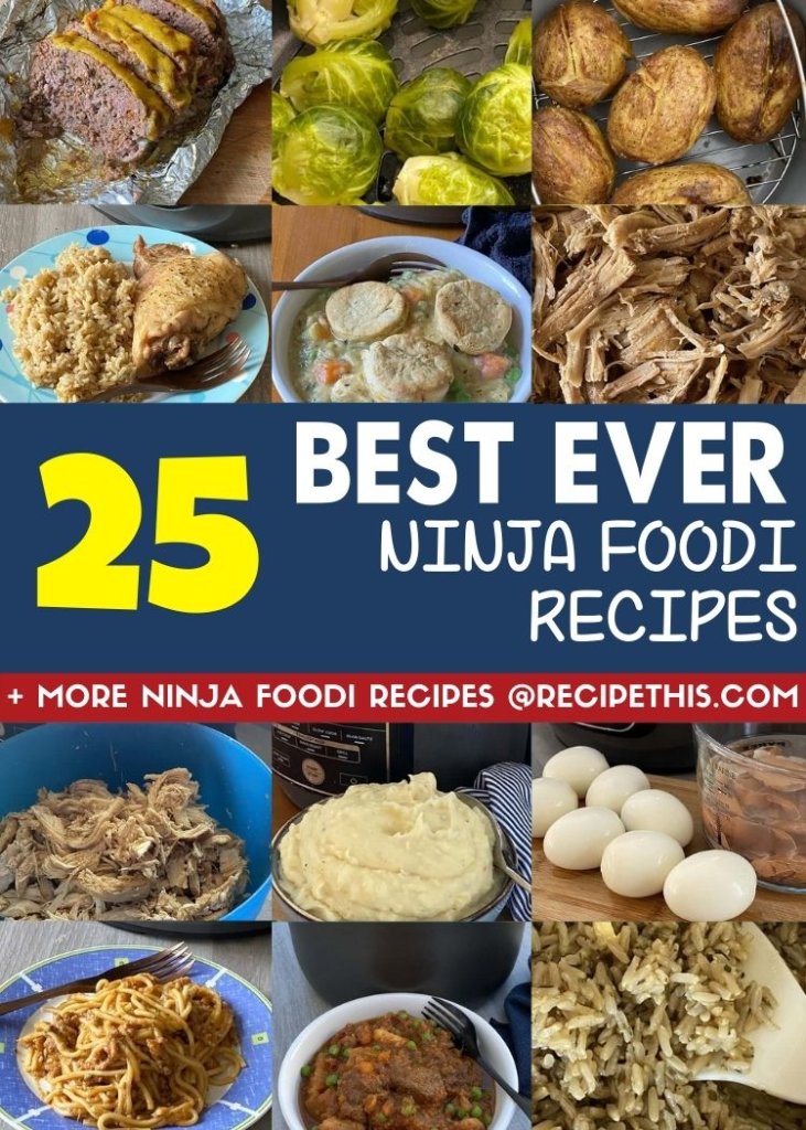 25 best ever ninja foodi recipes