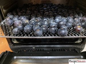 Can You Dehydrate Blueberries?
