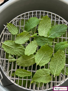 How Long To Dehydrate Mint Leaves?