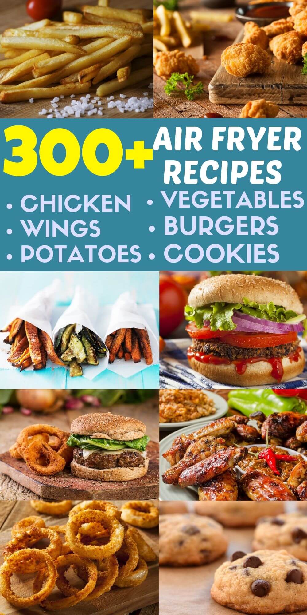 300 plus air fryer recipes