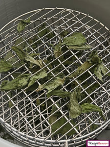 How To Dehydrate Basil In Air Fryer?
