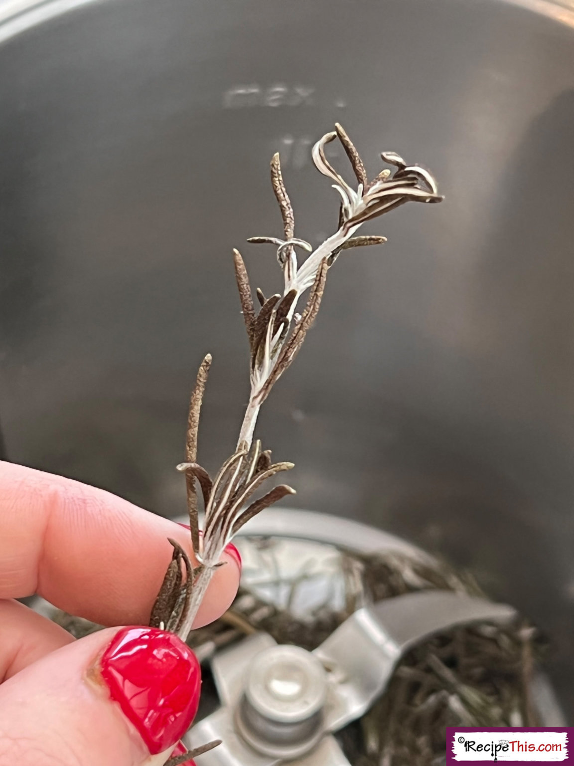 Recipe This Dehydrate Rosemary In Air Fryer
