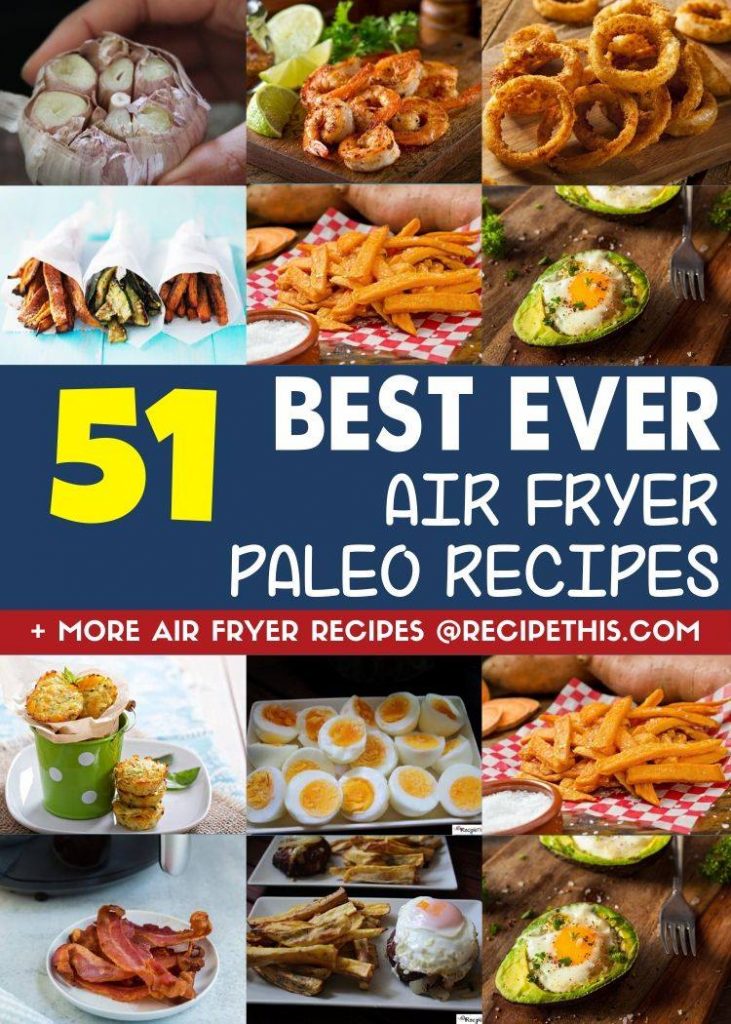 51 best ever air fryer paleo recipes