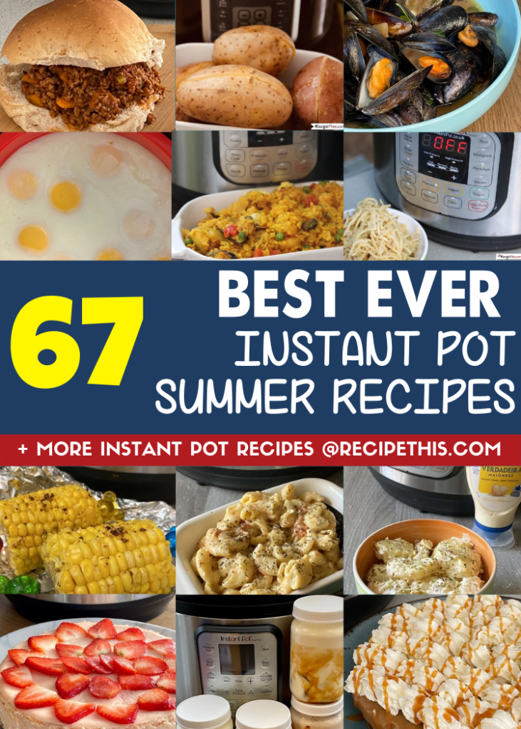 67 best instant pot summer recipes