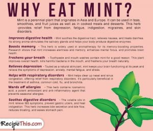 Cooking Tips Podcasts | Why Eat Mint from RecipeThis.com