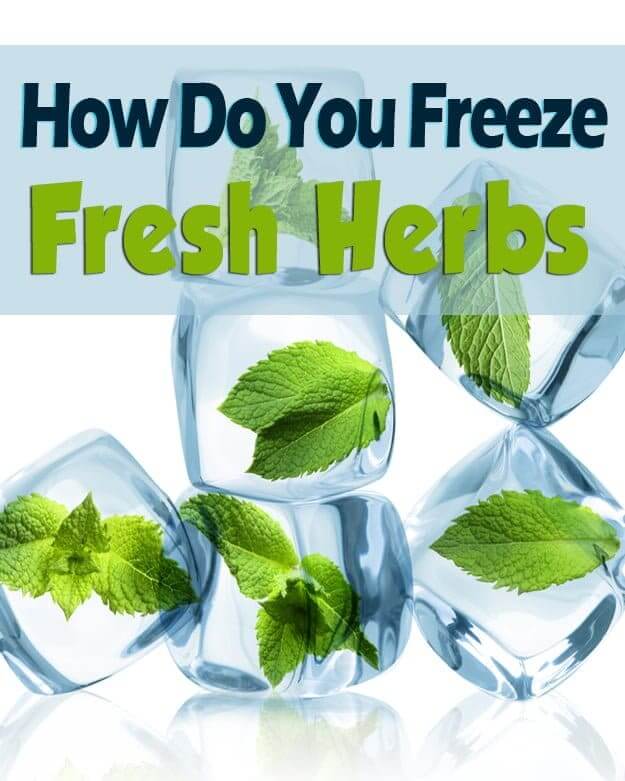 How Do You Freeze Fresh Herbs