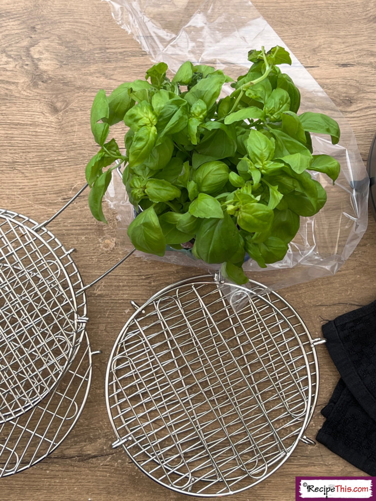 Recipe This Dehydrate Basil In Air Fryer