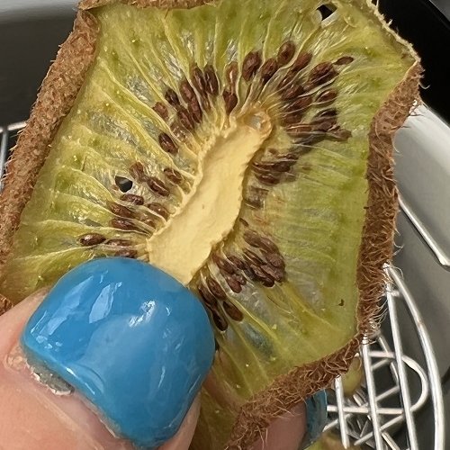 Dehydrated Kiwi Chips In Air Fryer