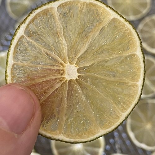 Dehydrated Limes In Air Fryer