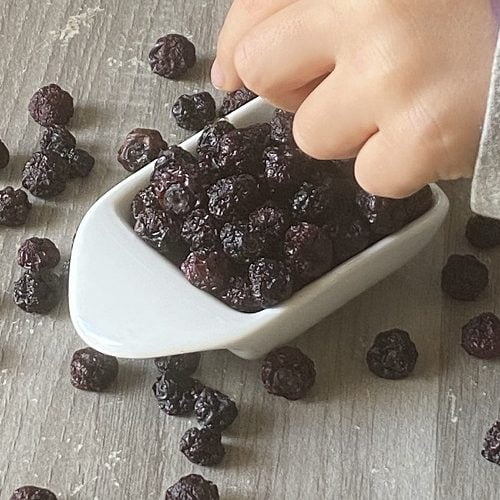 How To Dehydrate Blueberries