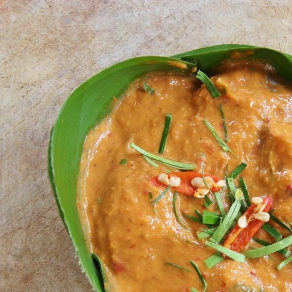 How To Make The Best Ever Red Thai Curry Sauce In The Soup Maker