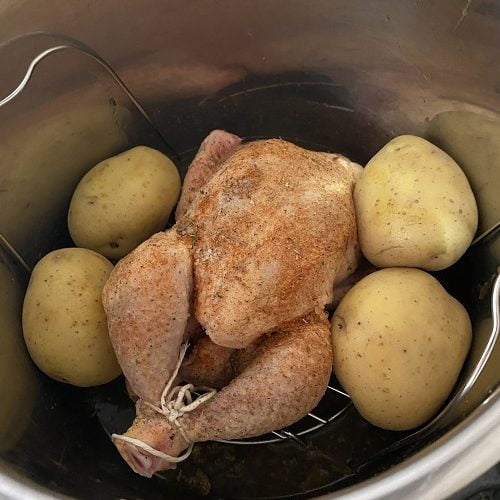 Instant Pot Cornish Hen