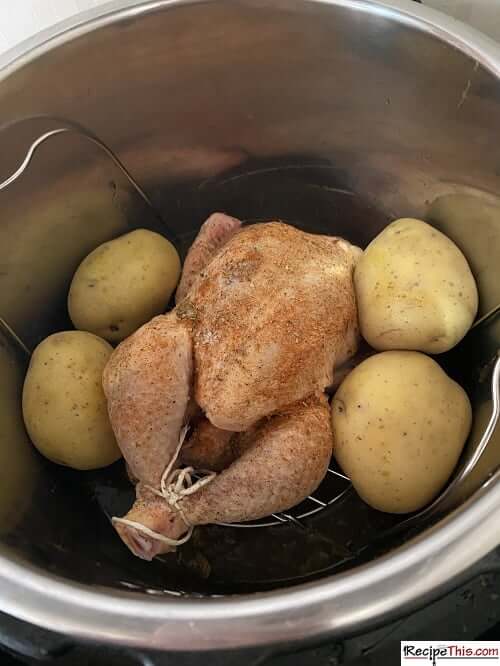 Instant pot best sale frozen cornish hen