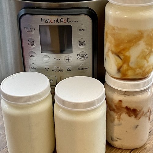 The Easiest Homemade Greek Yogurt in an Instant Pot - Reinvented