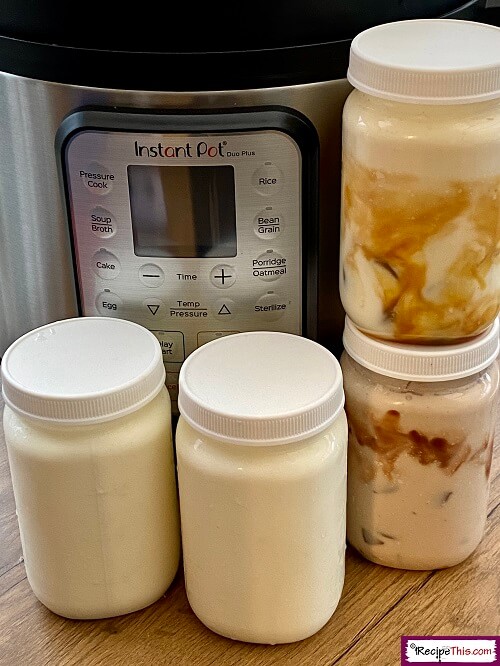 Can you make greek discount yogurt in an instant pot