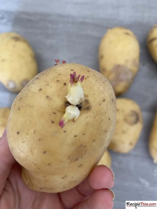 Instant Pot Potatoes For Potato Salad