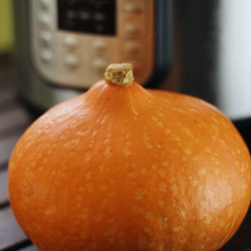 Instant Pot Pumpkin