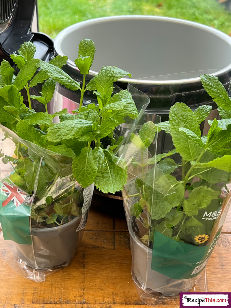 Mint Drying Ingredients