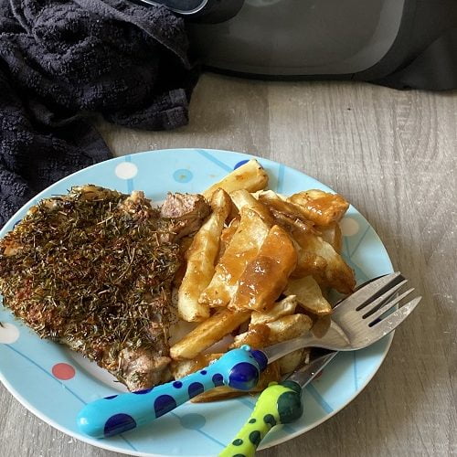 Ninja Foodi Multi Cooker - Air Fryer Pork Chops - Alexis Jetsets – Travel  Blog :: Alexis Jetsets – Travel Blog