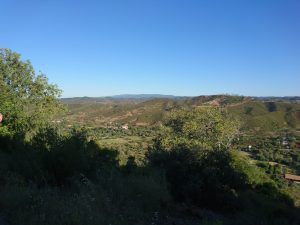 Slimming World | Here are the most amazing views that we have in our local village from RecipeThis.com