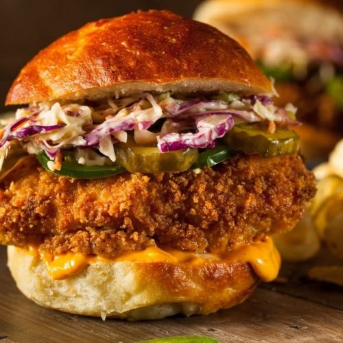 Welcome to my latest blender recipe. This is for my quick blend Mexican chicken burgers in the air fryer.