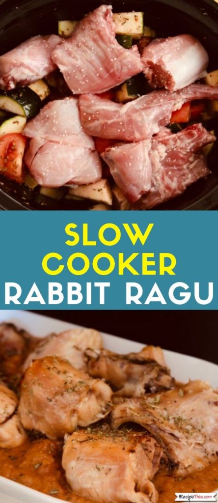 Slow Cooker Rabbit Ragu recipe