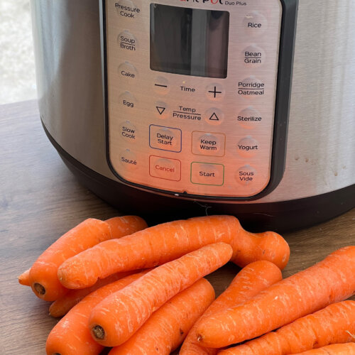Steamed Carrots Instant Pot Ingredients