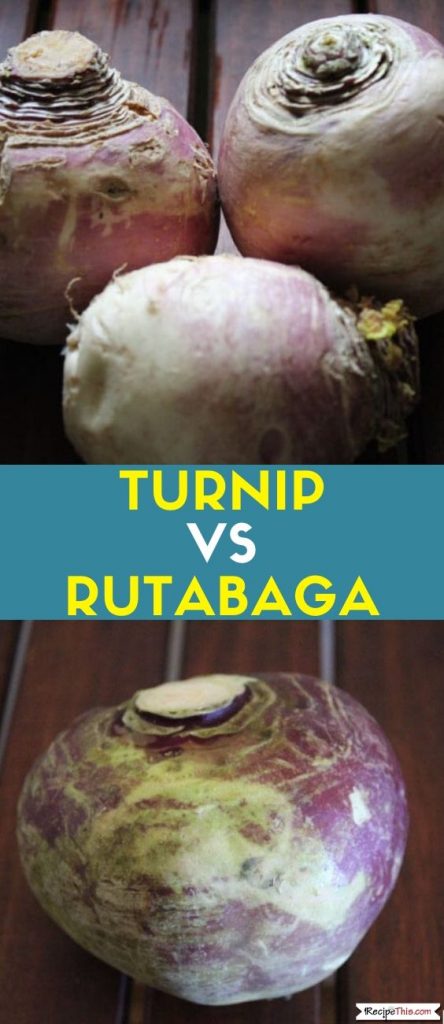 Turnip Vs Rutabaga