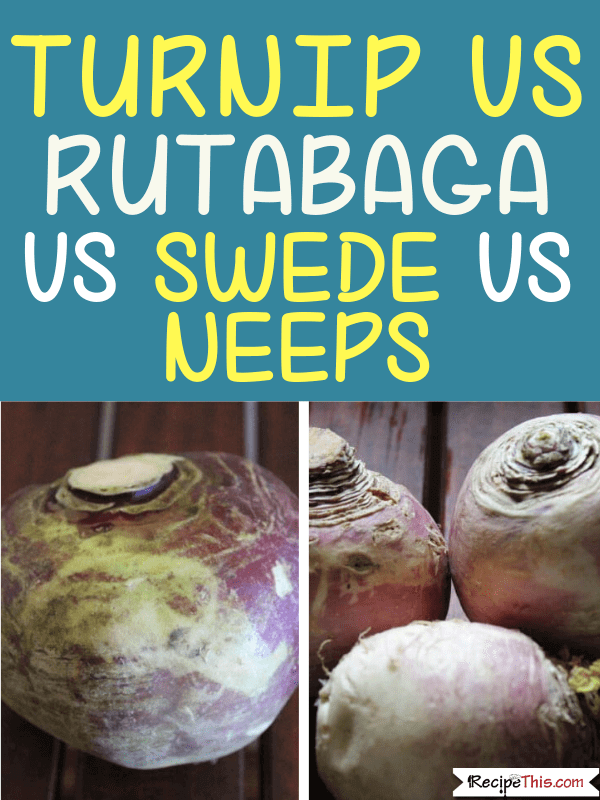 Turnips Vs Rutabaga vs Swede Vs Neeps