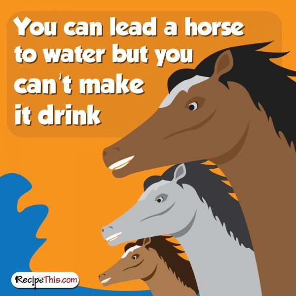 Recipe This You Can Lead A Horse To Water But You Cant Make It Drink