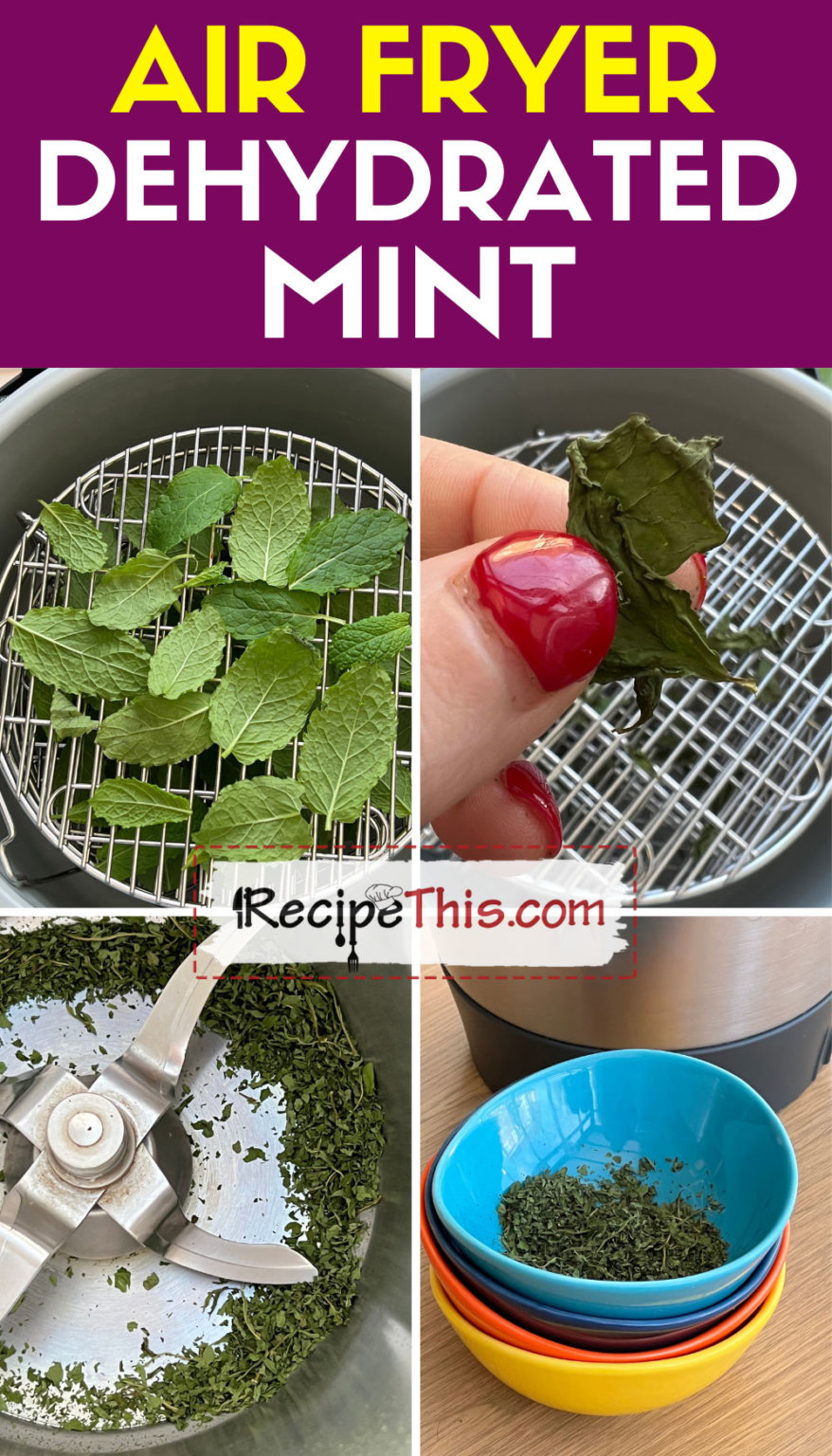Recipe This Dried Mint In Air Fryer