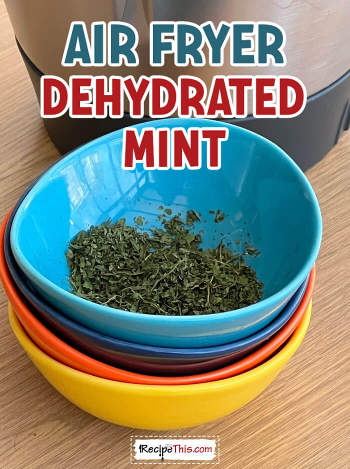 air-fryer-dehydrated-mint-recipe