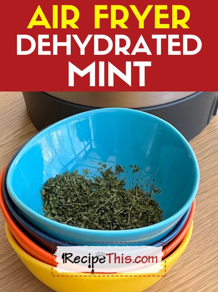 air-fryer-dehydrated-mint