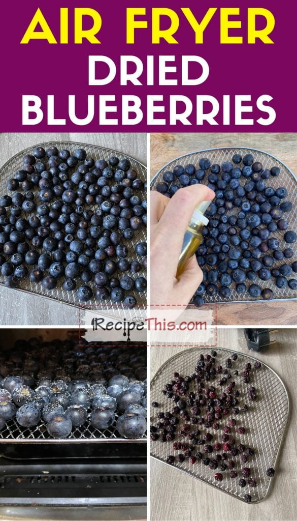 air fryer dried blueberries