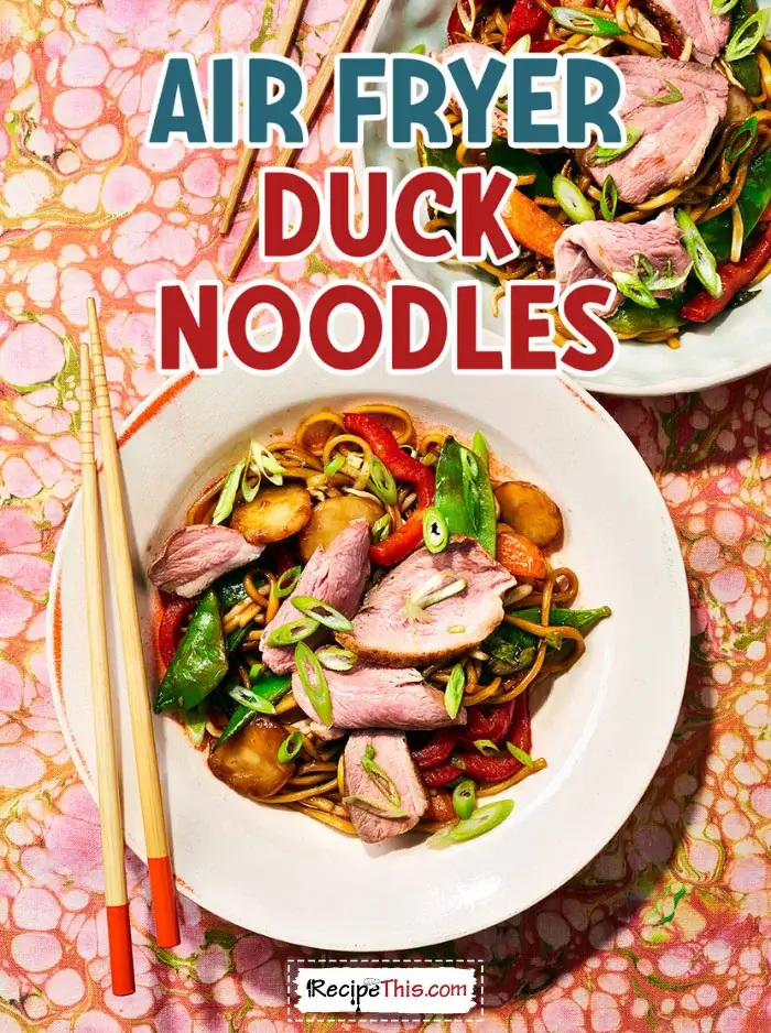 air-fryer-duck-noodles