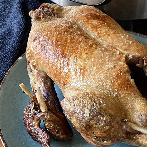 air fryer roast duck