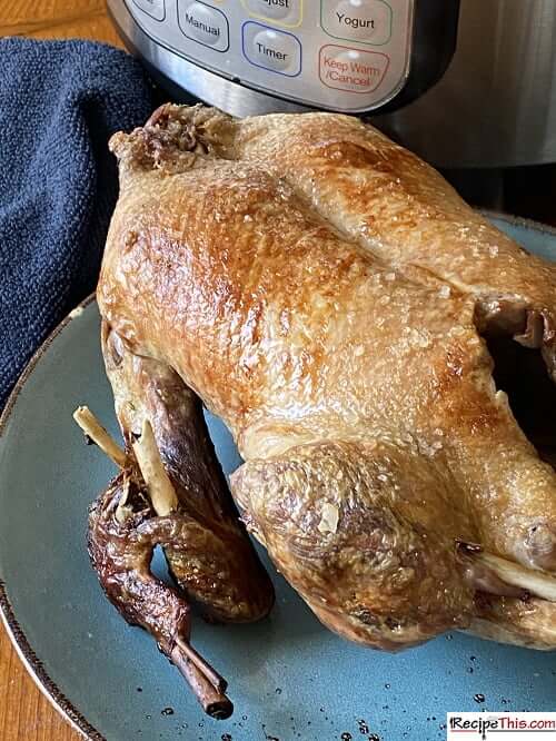 Instant pot whole duck recipe new arrivals