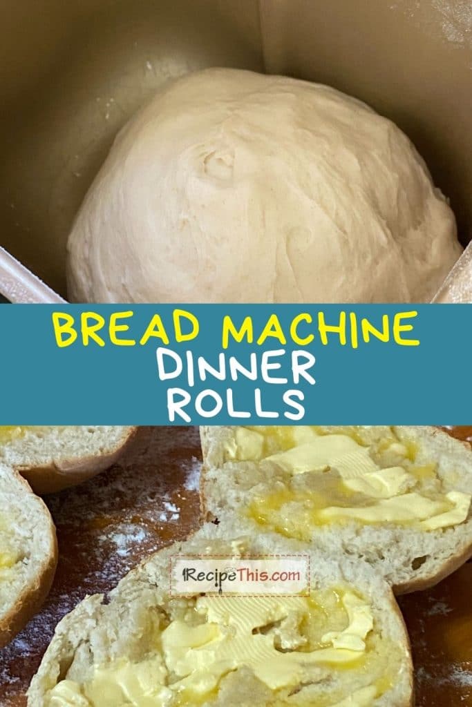 bread machine dinner rolls recipe