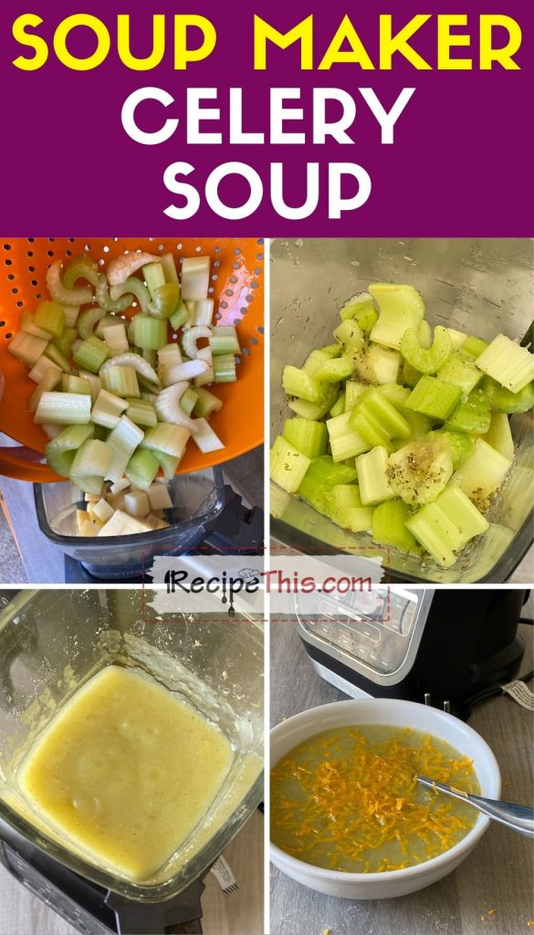 celery soup in soup maker