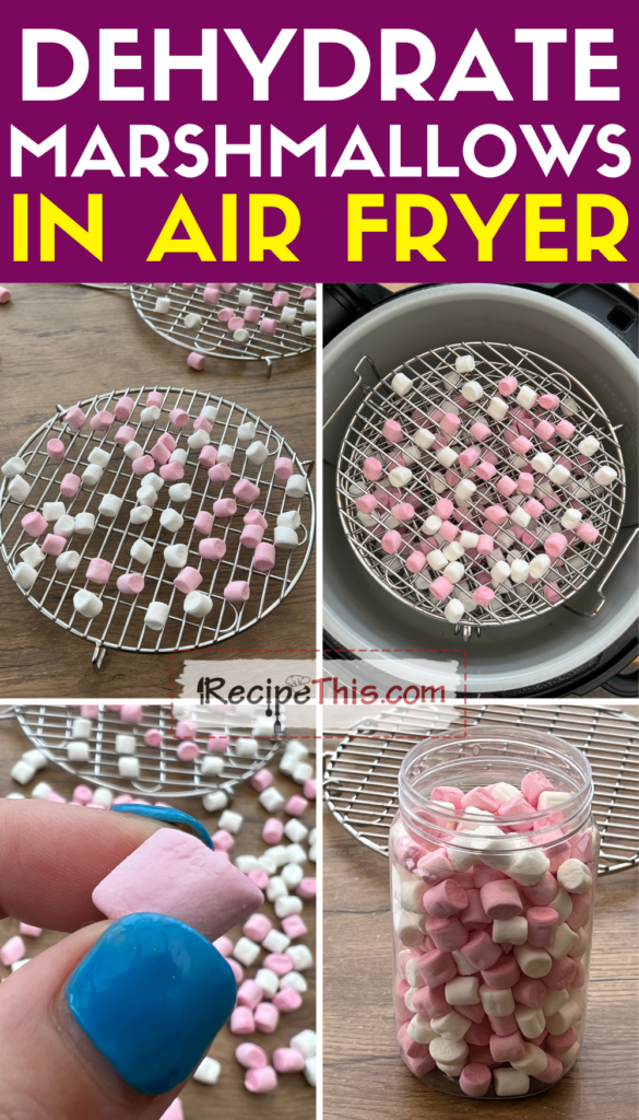 Ninja air fryer dehydrator recipes sale