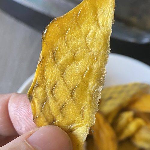 dehydrated mango