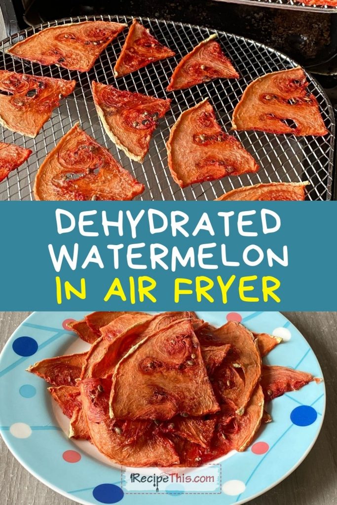 dehydrated watermelon in the air fryer oven