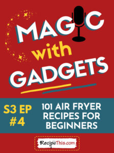 episode 4 101 air fryer recipes for beginners