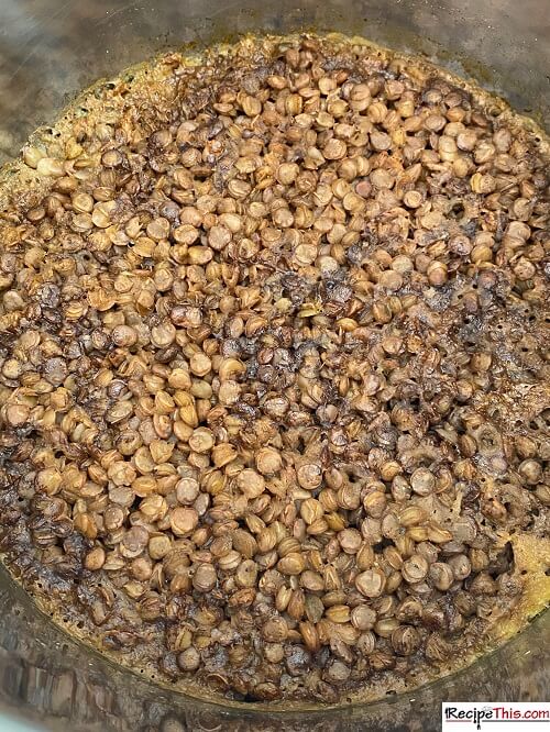 green lentils instant pot water ratio