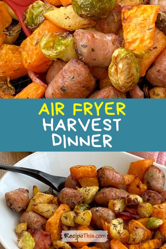 harvest dinner air fryer