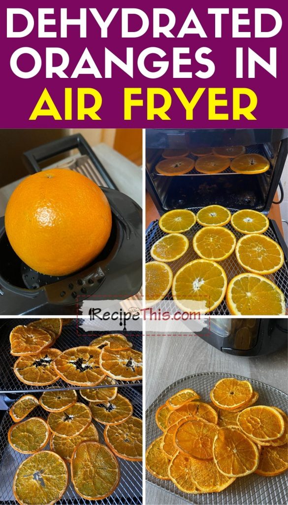 Air fryer dehydrator outlet recipes