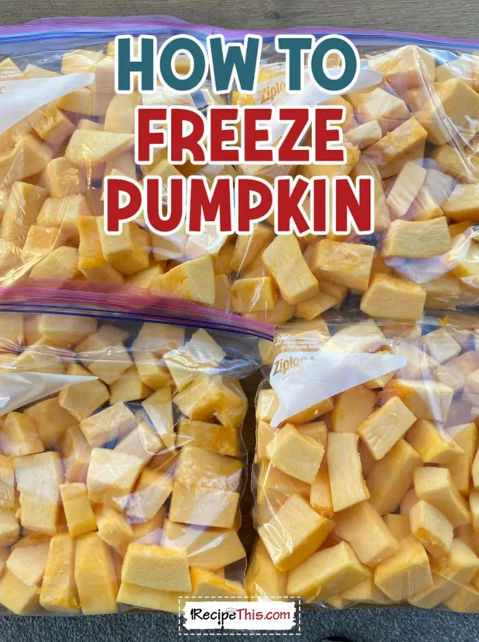 how-to-freeze-pumpkin-recipe